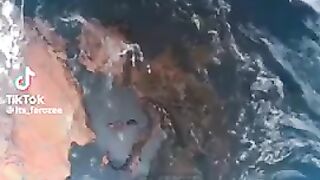 زمین پر پانی کہاں سے آیا ؟؟؟