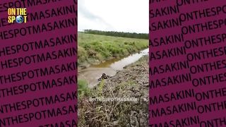 Funny video #2 2