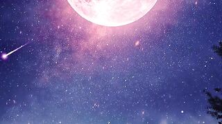 Song ???????? 5