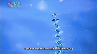 Ikan_EPIC_Terbang_Hingga_Sejauh_400_Meter