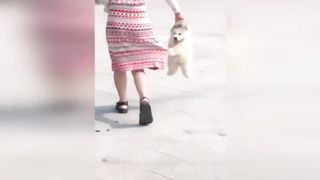 Satisfying Cute baby animals