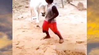 Funny best funny