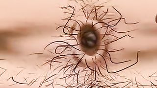 asmr_dirt_and_stone_