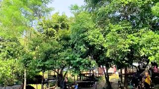 Sungai didalam hutan yang indah