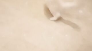 Kitten Playing