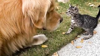 Beautiful & Lovely Friendship Never seen before