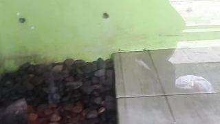 Snake 4