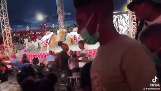 Circus new ????