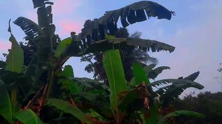 Cinemati pohon kelapa