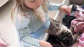 КОТКИ 12