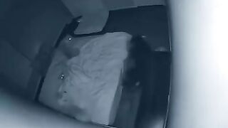 funny pets 4