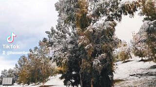 Neige