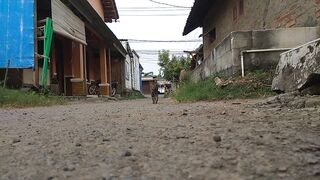 Kucing berjalan