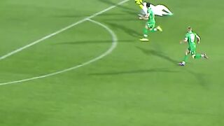 Mesut Ozil Skills