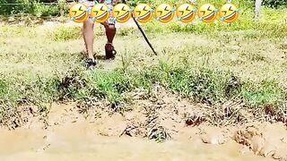 ???????????????????? 27