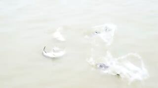 Funny new top video 2022