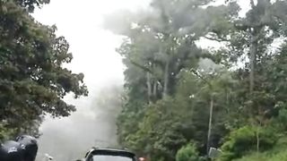 Perjalanan Tanpa Batas : Vlog Menjelajahi Kehidupan dan Alam