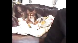 funny look