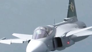 AERONN CAÇA BRASILEIRO