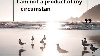 Live Motivasion