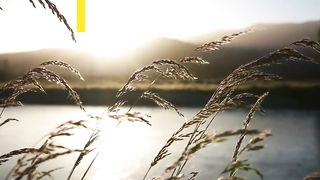 It's Possible - Motivational Videos