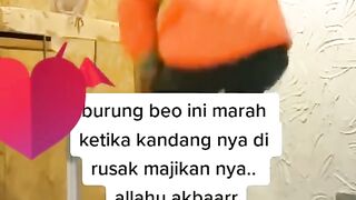 Burung beo