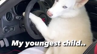 She_s_not_old_enough_drive_yet