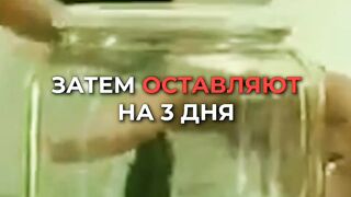 Наши жизни не должен быть предел