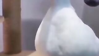 Qiziqarli 7