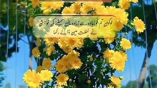 WhatsApp Status 24