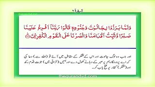 WhatsApp Video 222