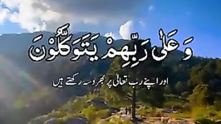 WhatsApp Status 777