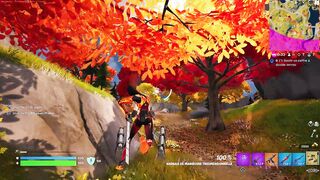 FORTNITE