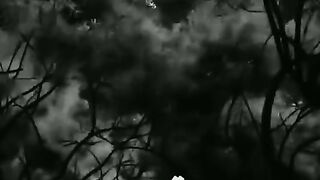 سبحان الله 6