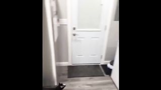 ????HOLDING YOUR LAUGH while Watching these video???? - Funny Cats Life 3