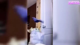 tu rigoles 2 fois, tu recommences la vidéo 6
