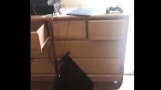 ???? You Definitely Laugh, Trust me ???? - Funniest Cats Expression Video ???? - Funny Cats Life 4