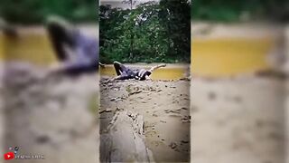 ????BEST MEMES EDITS TIKTOK MEMES FUNNY MOMMENT 3