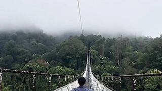 enjoy nature