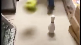 Funny video 31.