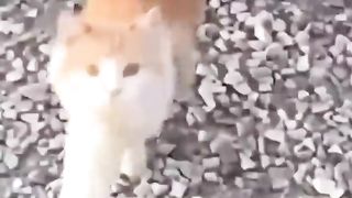 Funny meme 33.