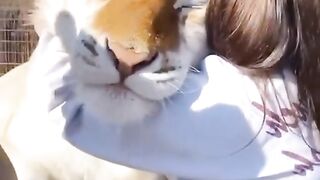 WILD ANIMALS TIKTOK VIDEOS COMPILATION ???? | Crazy TikTok Compilation