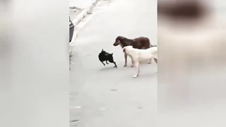 Instant Regret - Fails Compilation | Funny Fails 29