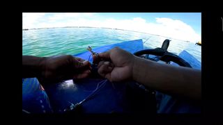 Dapat ikan super langka besar bosku