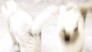 ???? #tiktokchina????????_8.