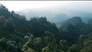 Mountain View 3