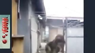 Take off????????