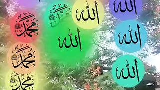 Entertainment World (@maazkhan3924)_32.