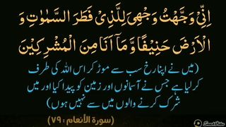 میری جَانب بھی ہو اِک نگاہِ کرم، اے شفیع الواریٰﷺ، خاتم الانبیاءﷺ 15