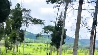 enjoy the journey to the house full of happiness
